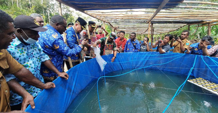 Pj. Bupati Maybrat, Dr. Bernhard E. Rondonuwu S. Sos., M.Si., menebar benih ikan lele dan ikan nila sebagai bentuk rencana aksi pengendalian inflasi daerah