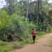 Warga Dusun Makmur, Desa Harapan Baru, Kecamatan Mandau, Kabupaten Bengkalis gotong royong membersihkan jalan desa dan memangkas rumput di pinggiran jalan. (foto: Istimewa)