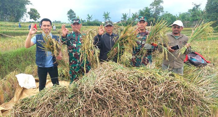 Menjelang lebaran, Perum BULOG Kanwil Jawa Barat telah berhasil menyerap sebanyak 66.000 ton Gabah Beras Petani di wilayah Provinsi Jawa Barat