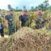 Menjelang lebaran, Perum BULOG Kanwil Jawa Barat telah berhasil menyerap sebanyak 66.000 ton Gabah Beras Petani di wilayah Provinsi Jawa Barat